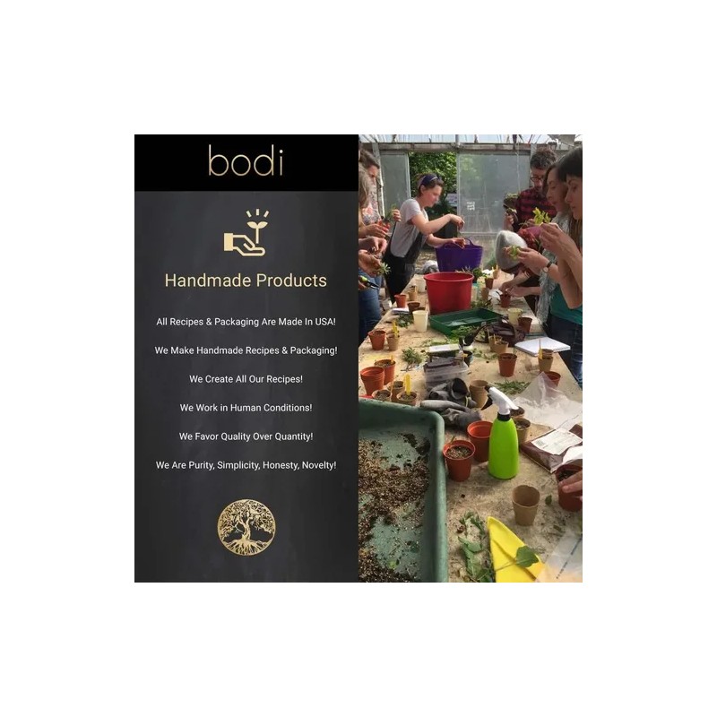 Bodi Polvo Raíz De Maca Natural 1lb Artesanal