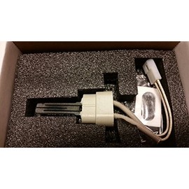 ETNA 77707-0054 Pentair Igniter & Gasket Replacement Kit