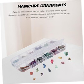 WOONEKY Natural Shell Nail Charms for Nail Art Compartment Box with Abalone Decorations Durable and Unique Manicure Supplies for Women and Men