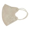 Non-woven Fabric Mask, Chiikawa 3D Charm Point Mask, Box of