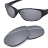 Tintart Performance Replacement Lenses Compatible with Native Throttle Polarized-Silver Metallic