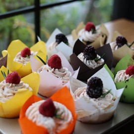 300 Sheet Tulip Muffin Cases for Baking, Disposable Cupcake Cases Greaseproof Paper Baking Cups Muffin Cup Liners Parchment Paper Cupcake Wrapper for Weddings Birthdays Party, 11 Colours