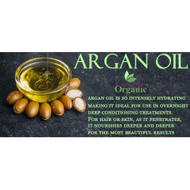 Argan Hair Oil Treatment - Hydrating Hair Treatment - Repair, Restore Shine, Moisturize - Nourishing Treatment - 4 oz