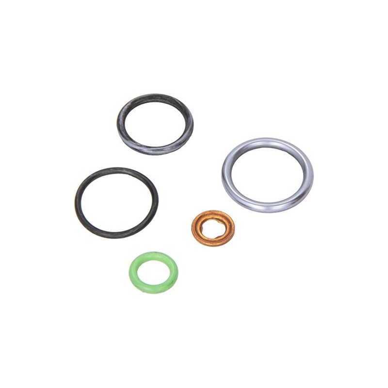 Elring 066.460 Seal Kit, injector nozzle