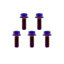 RISON Titanium Bolts Titanium Flanged Hex Head Bolt M6x1.0x15mm 6AL4V Aerospace Grade Ti Bolt Burnt Blue Titanium Bolt for Motorcycle Car Modification Pack of 5