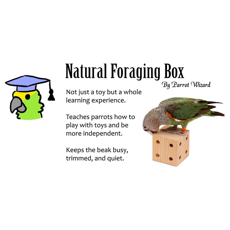 Natural Foraging Box Toy for Parrots (Training Foraging Box)