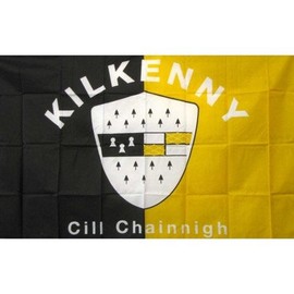 NEOPlex Kilkenny Ireland County Flag