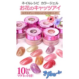 Nail Recipe Color Gel Nail Color Set, UV / LED, Soak Off Type, Self Nail Coloring (Flower Cat Eye, 10 Colors)