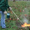 CAMPFIRE Weed Burner Propane Torch With Storage Bag,Weed Torch With