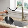 Gold Kitchen Sink Faucet with Pull Out Sprayer, Brushed Gold