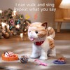 OR OR TU Walking Talking Toy Cat with Remote Control
