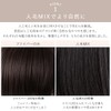 Bright Lara p-hf1794-CBR-M Women's Human Hair MIX Full Wig, Bob,