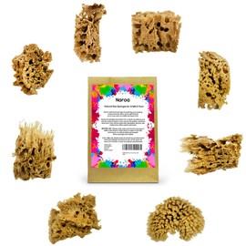 NAROA Artist Natural Sea Sponges for Painting 8 Pack | Unbleached Unique Art Tool Set | Suitable for Acrylic Watercolor, Marbling, Texturing, Pottery, Ceramics