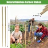 Suclain Bamboo Plant Stakes Plant Support Stakes Indoor and Outdoor