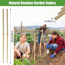 Suclain Bamboo Plant Stakes Plant Support Stakes Indoor and Outdoor Garden Sticks Garden Stakes for Tomato, Bean, Flowers, Trees Potted and Climbing Plant Support(30 Pcs,1 ft)