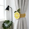 Davifina Lemon Curtain Tiebacks 2 Pack Yellow Fruit Spring Curtain