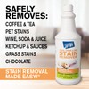 Motsenbocker's Lift Off 40503-6PK 32-Ounce Food, Beverage and Pet Stain