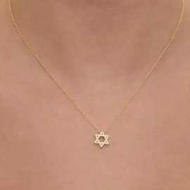 ALRNBY Star of David Necklace for Women Non Tarnish Gold Plated Charm Necklace Gift Dainty Silver Choker Stainless Steel Chain (Gold)