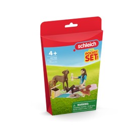 Schleich GmbH 42746 toy