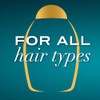 OGX, Acondicionador Argan Oil, Ideal para Cabello Seco y Dañado,