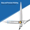 M.steve Professional Hair Cutting Scissors 6 Inch, VG10 Stainless Steel