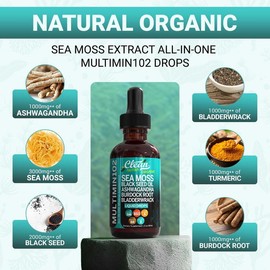 Live Only 2-Bottle Liquid Sea Moss Multimineral Drops | Natural Immune Support, Energy, Digestion & Overall Wellness Supplement