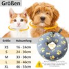 Inflatable Neck Collar for Dogs and Cats, Leak Protection, Neck
