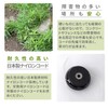 Yamazen GT-03R Nylon Cutter for Grass Trimmers, 1 inch (25.4