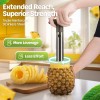 CE Compass Pineapple Corer Slicer Peeler, Stainless Steel Eye Remover