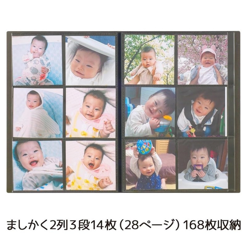 Nakabayashi SCRP-SQ-168/N/EC [Net Limited] Album Makaku 6 Sides Slim Type