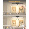 WILLED 5W Picture Lights, 3 Colors Rechargeable Battery Operated Picture