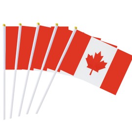 Paquete de 25 banderas pequeñas de mano, bandera de Canadá, bandera de palo canadiense, bandera de país nacional, suministros de decoración de fiesta para desfiles, Copa del Mundo, eventos de festivales, festival internacional