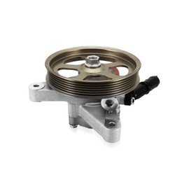 TAUTOY 21-5441 Power Steering Pump with Pulley For Acura TL 2004 2005 2006 2007 2008, For Honda Pilot 2005 2006 2007 2008,3.2L 3.5L,96-5441 56110RDAA01 56110PVJA01