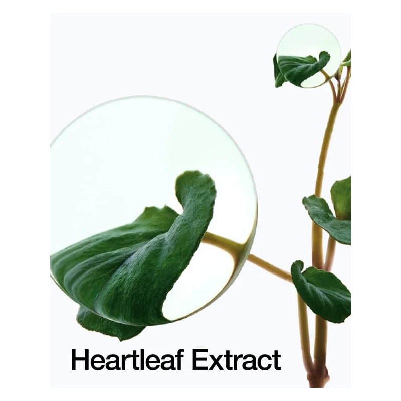 ANUA Heartleaf 77% Soothing Toner (500 ml)