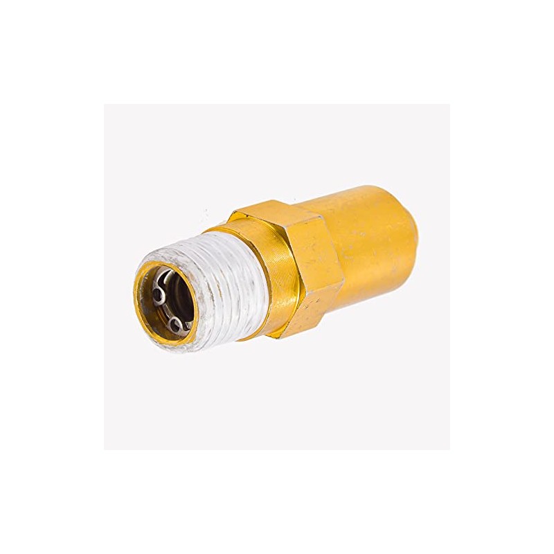 7110131 Thermal Relief Valve 1/4 MPT TRV AAA Triplex Plunger