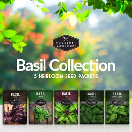 Survival Garden Seeds Basil Collection Seed Vault - Holy Basil, Genovese Basil, Large Leaf Basil, Opal Basil, and Thai Basil - Non-GMO Heirloom Seeds for Planting Delicious Herbs - Basil Mix Seeds