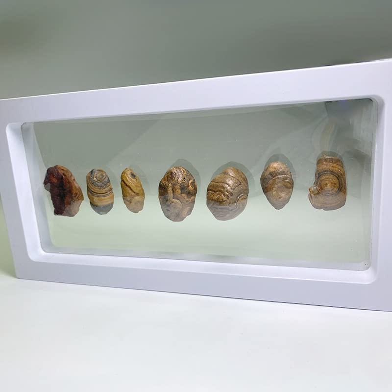 メノウ岩 ミネラルコレクション デスクテーブルオーナメント メンズ レディース ホーム オフィス 装飾 風水 石