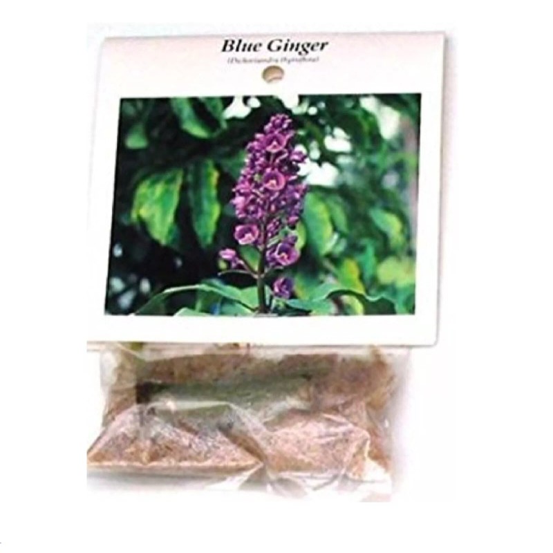 Hawaiian Blue (polu) Dichorisandra Thyrsiflora Ginger Plant Roots 2 Pack