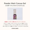 ICE GEL Powder Matte Canvas Gel 0.3 fl oz (9