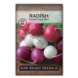 Sow Right Seeds Sow Right Seeds - Easter Egg Mix Radish Seed for Planting - Non-GMO Heirloom Packet with Instructions to Grow an Outdoor Home Vegetable Garden - Multi Color, Fast Growing - Red, Purple, and White (1)