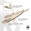 GBS Professional Straight Edge Barber Shaving Shavette Razor with 100