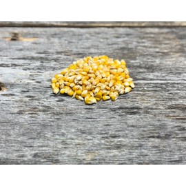 Hale Habitat & Seed Glyphosate Tolerant Field Corn Food Plot Seed, 5 lbs