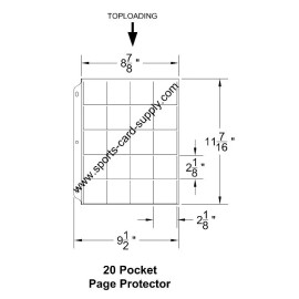 BCW 10 - 20 Pocket 2x2 Coin Slide Stickers Page Sheet Protector  BCW  Pro20T