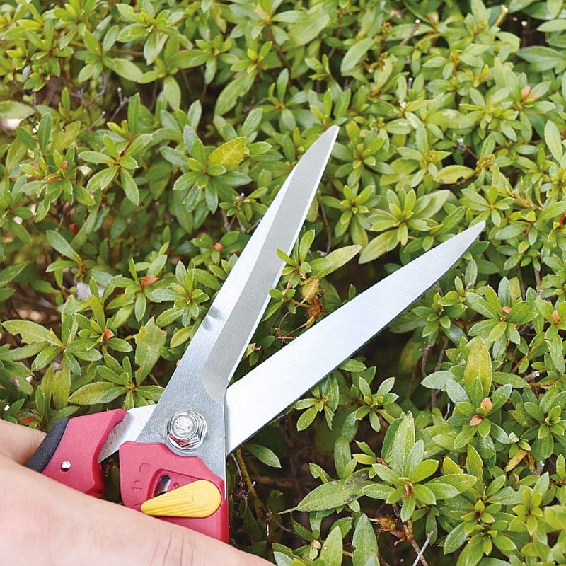 Senkichi SSP-23 Gardening Shears, Long Blade, 10.2 inches (260 mm),