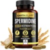 Earth Elixir Spermidine Supplements 1200mg (90 Capsules) – Anti Aging