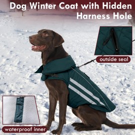 IKIPUKO Dog Coats for Medium Dogs Waterproof Warm Winter Jacket with Leash Hole Reflective Turtleneck Fleece Snowsuit Hook & Loop Snow Jackets for Dogs, Green M