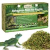 Legigo 14 OZ Sphagnum Moss for Reptile- 16 QT Natural