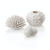 biOrb Sea urchin Set white