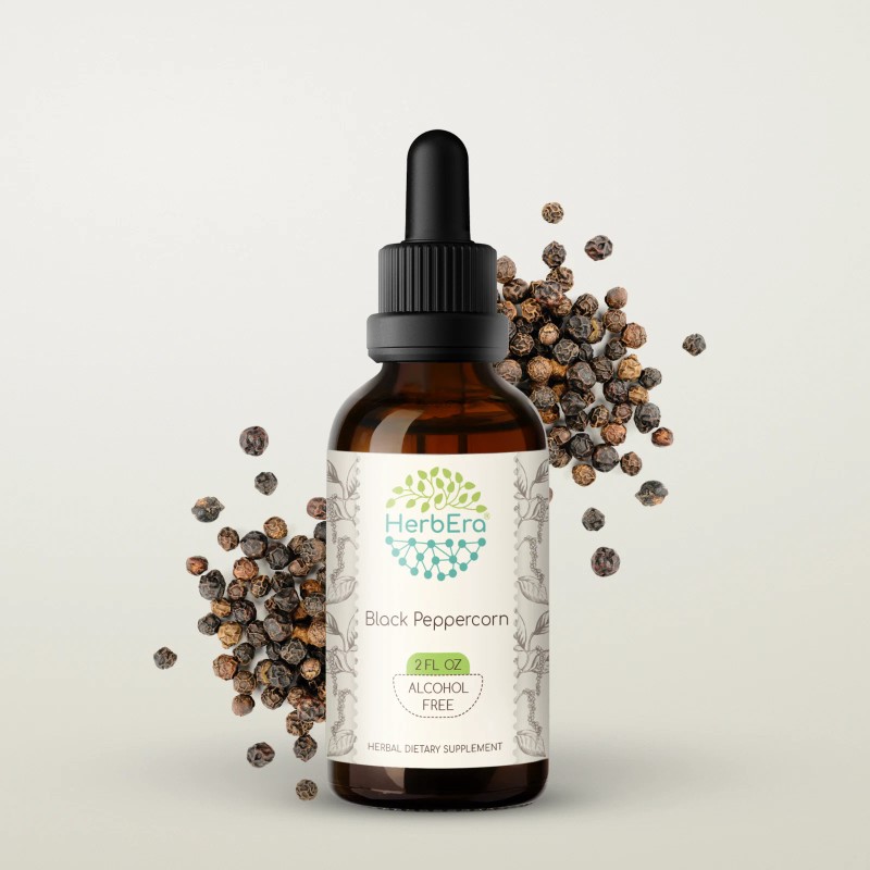 HerbEra Black Peppercorn Alcohol-FREE Tincture, Organic (Piper nigrum) - 2