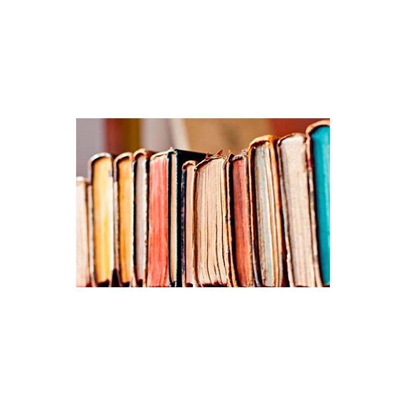 OMalley 2 pk Lint Trap